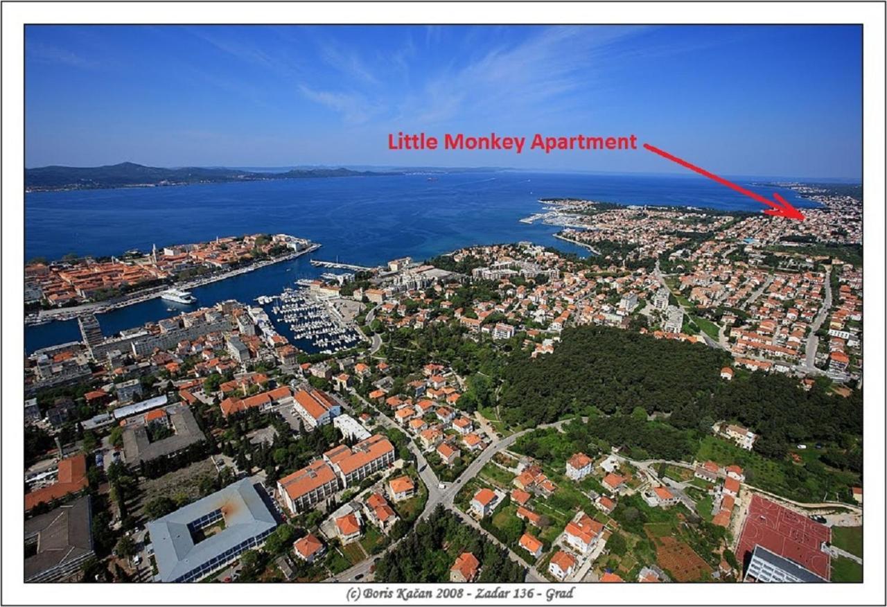 Little Monkey Apartment Zadar Bagian luar foto